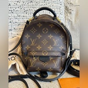 Louis Vuitton Palm Springs Mini